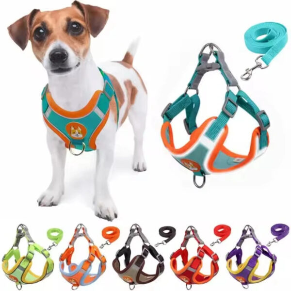 Reflective Adjustable Vest Harness Strap & Leash for Cats & Small Dogs