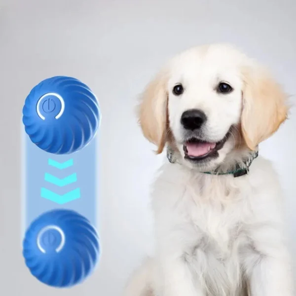 Interractive Motion Activated Rolling Ball Dog Toy