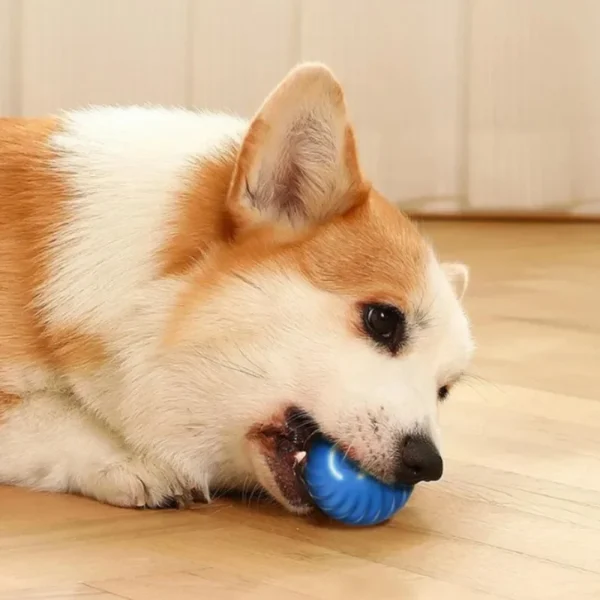 Interractive Motion Activated Rolling Ball Dog Toy - Image 3